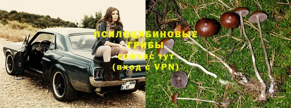 молекула духа Карталы