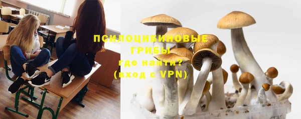 индика Касимов