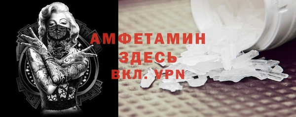 индика Касимов