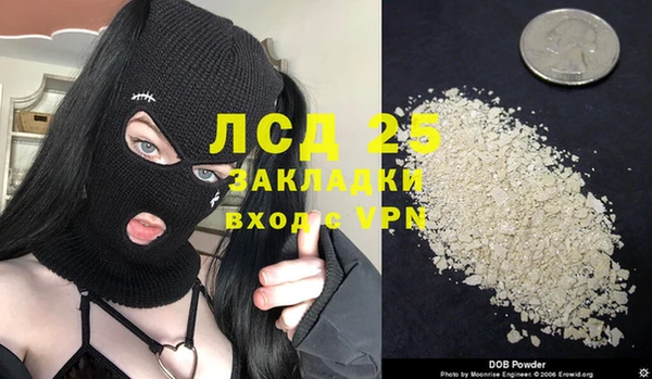 индика Касимов