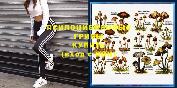 индика Касимов