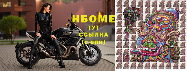 индика Касимов