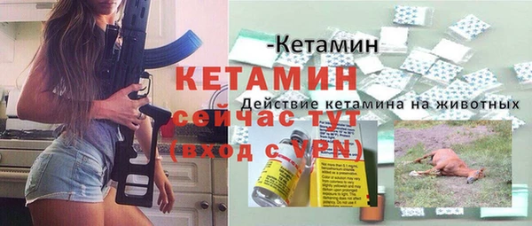 индика Касимов
