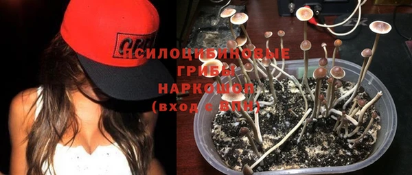 прущие крисы Карпинск