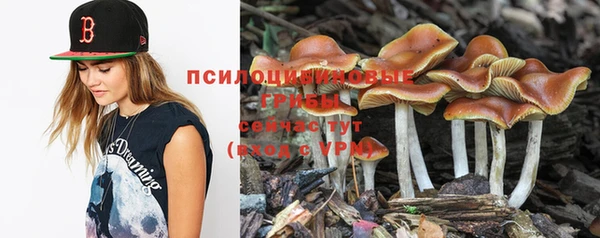 трава Кинешма