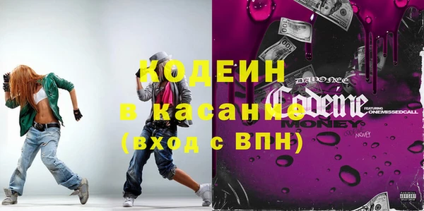 индика Касимов